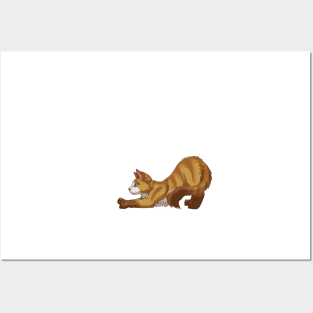 Tabby Somali Cat Stretching Yoga Cream Posters and Art